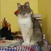 Отзыв от Динара Павлова